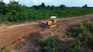 Строительство, бульдозер расчищает дорогу через лес