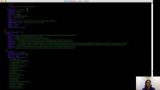 PolySwarm Demo: Command Line Interface and Free Features смотреть онлайн