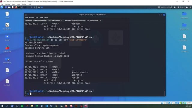 TryHackMe - Flatline Walkthrough смотреть онлайн