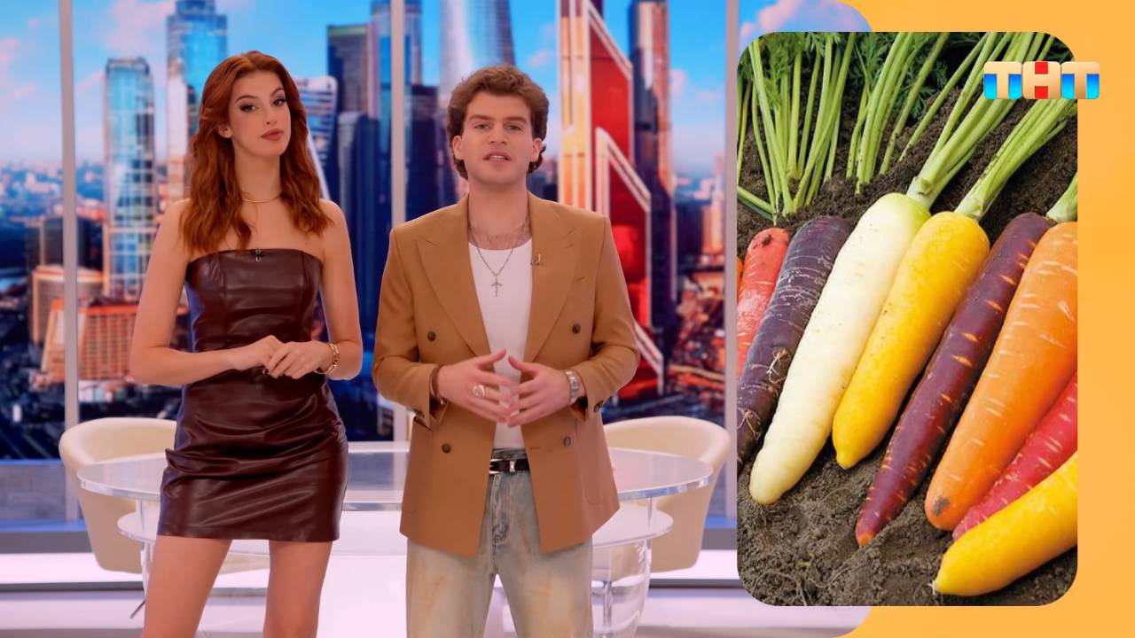 Мини-викторина смотреть онлайн