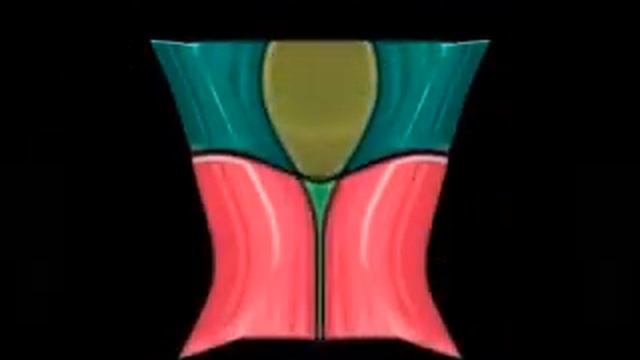 Windows Server 2003 Animation In Blind And Deaf смотреть онлайн