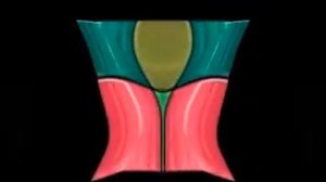 Windows Server 2003 Animation In Blind And Deaf