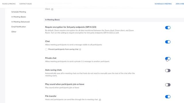 HOW TO USE ZOOM FOR VIDEO CONFERENCING 2020 ; ZOOM SECURITY SETTINGS (No Watermarks) смотреть онлайн
