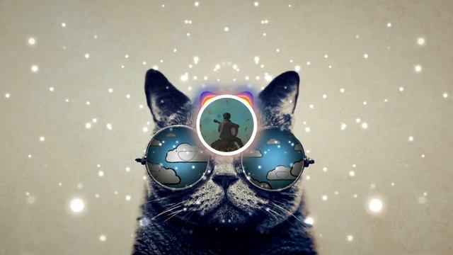 Harris - Kitty City смотреть онлайн