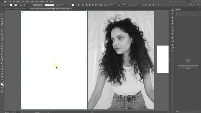 How To Create Duotone Color Effect In Adobe Illustrator