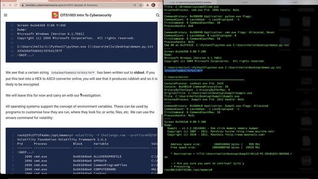 Intro To Cyber Labs: Forensics 8 1 смотреть онлайн