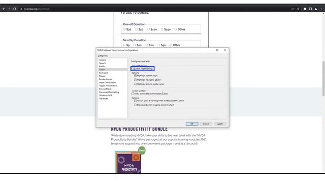 Getting started with NVDA screen reader for Windows смотреть онлайн