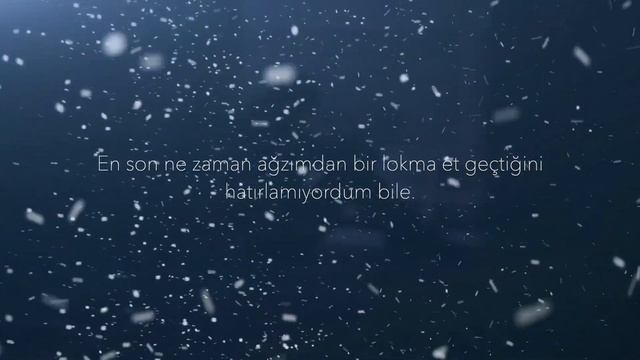 BÖLÜM 14- “Kar taneleri…” смотреть онлайн