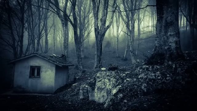 The Bigfoot Was Outside The Child's Window смотреть онлайн