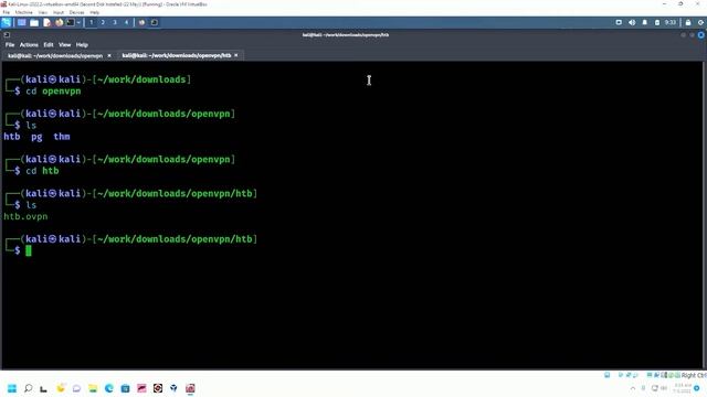 5 Tips for Your OSCP/HTB Virtual Machine Setup смотреть онлайн