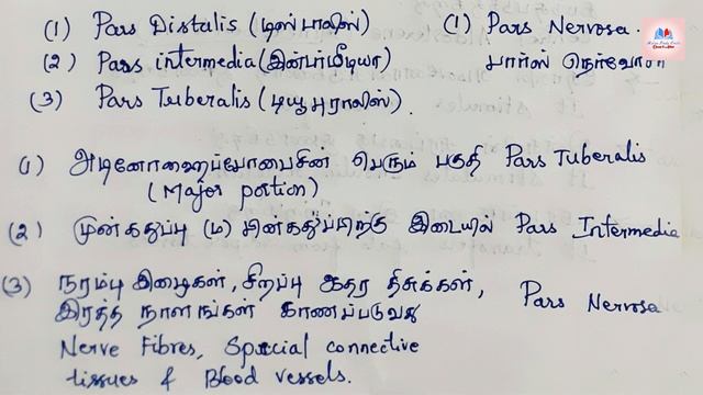 Zoology Glands for Competitive Exams TNPSC (English/Tamil) смотреть онлайн