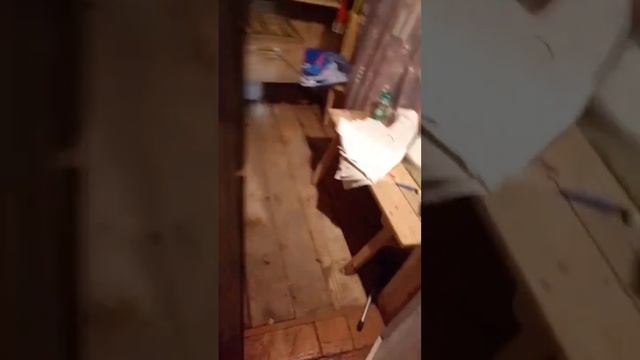 #ЯПчеловод Андрей. Новосибирск. Опыт пчеловождения с 2020 года. смотреть онлайн