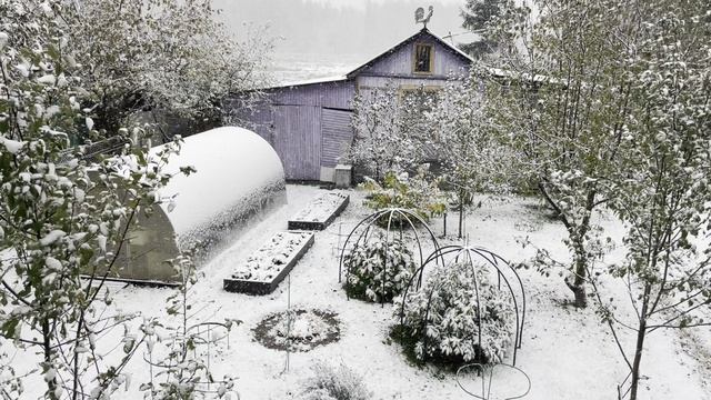 Покров. Подмосковье 14.10.2024 г. смотреть онлайн