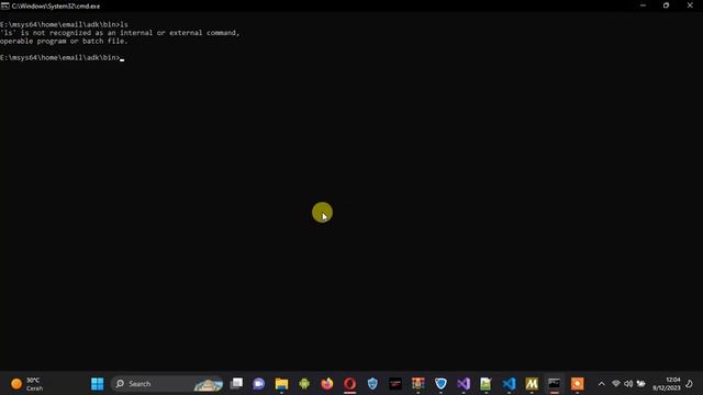 C++ Linux ADK Custom Build - MSYS2 - Cross Platform Windows смотреть онлайн