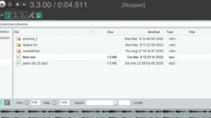 How to import audio files in Reaper following the tempo