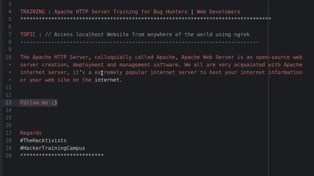 Access localhost Website from anywhere of the world using ngrok in Windows смотреть онлайн