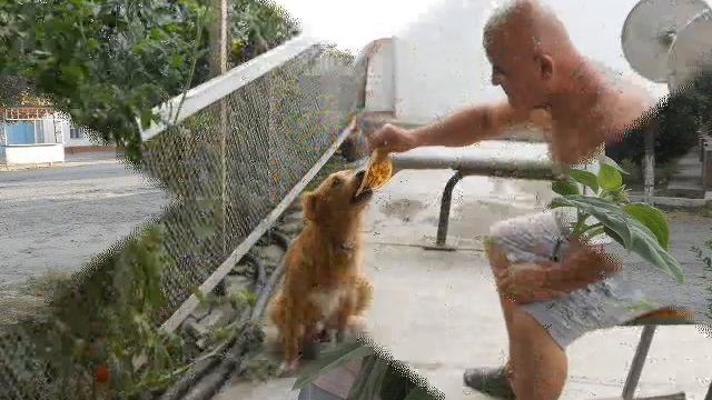 Фильм с новым годом друг смотреть онлайн