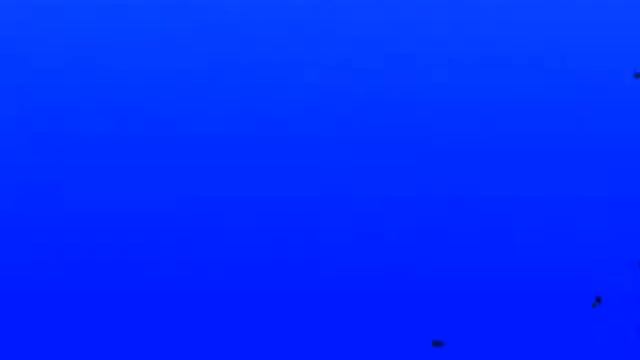 Klasky Csupo Windows Movie Maker 2.0 Effects in ERZATZ 010 смотреть онлайн