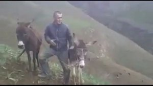 Даипара глбаргай да ипара садбаргай