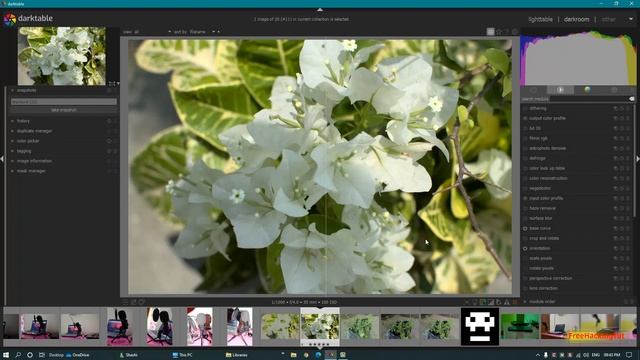 Best Free Raw Photo Editing Softwares for Windows, Linux and Mac OS смотреть онлайн