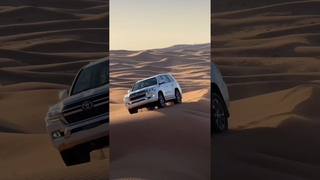Desert Drive смотреть онлайн