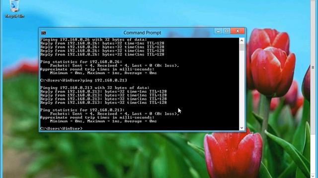 5nine Virtual Firewall and Windows Server 2012 Network Virtualization смотреть онлайн