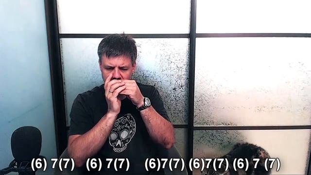 Песня о далекой Родине на губной гармошке смотреть онлайн