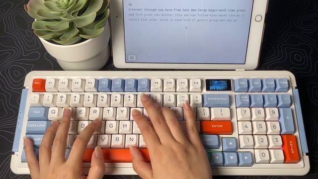 ProtoArc ROYALAXE L98 Keyboard w/ Screen Display Review смотреть онлайн