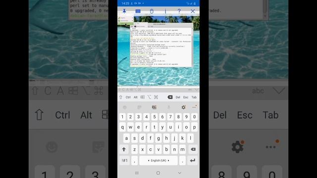 Enable Audio On Linux Deploy Vnc (chroot)