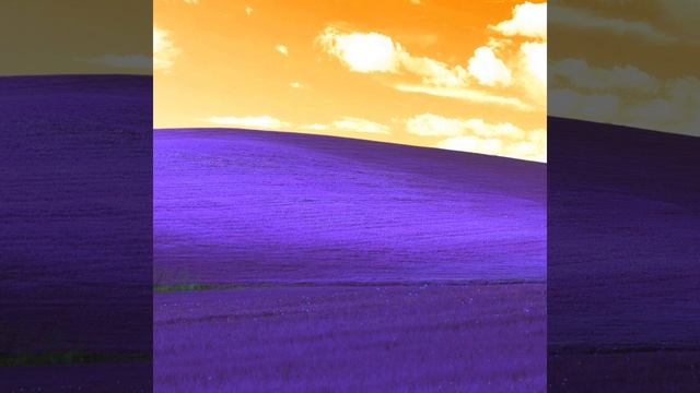 windows breakcore - proloxx (Slowed) смотреть онлайн