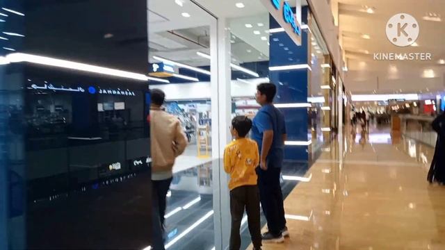 0-3 Months Twins Pregnancy Journey