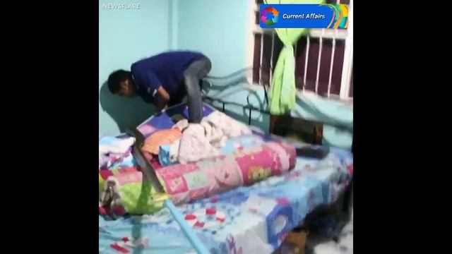 Terrifying Moment, 10ft Snake Found Under Child's Bed in Thailand смотреть онлайн