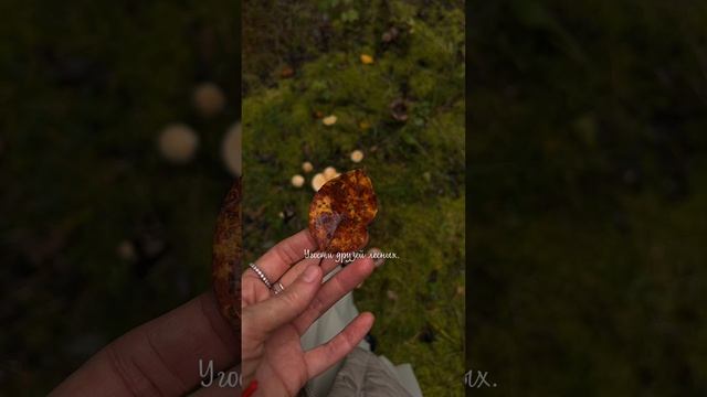 Окунись скорее в сказку