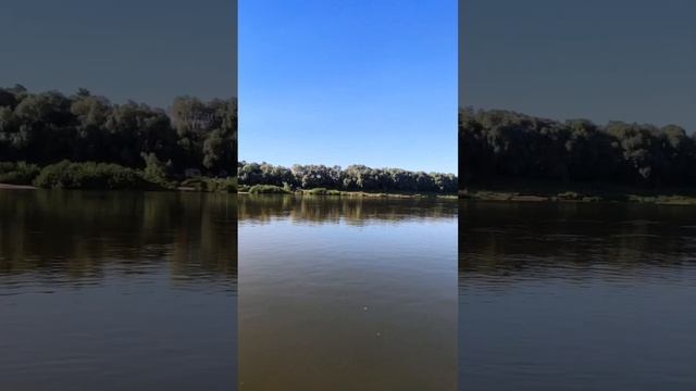 Отдых пчеловода #SUP смотреть онлайн