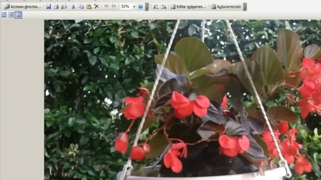 Comprimir Imagenes o fotos con picture manager смотреть онлайн