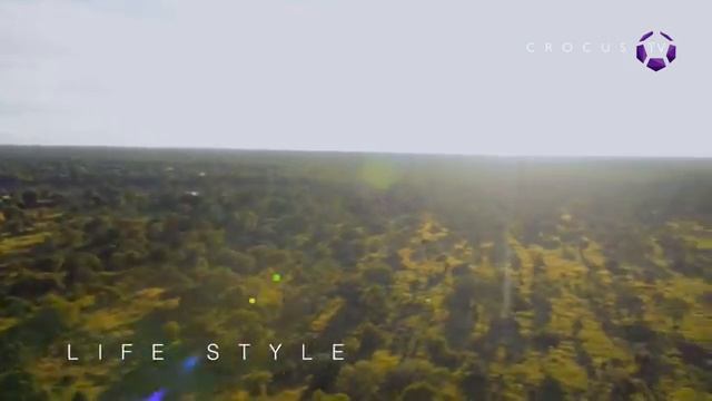 CrocusTV promo смотреть онлайн