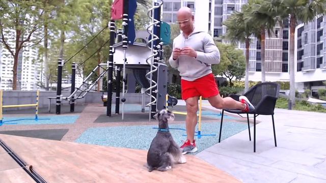 agility run смотреть онлайн