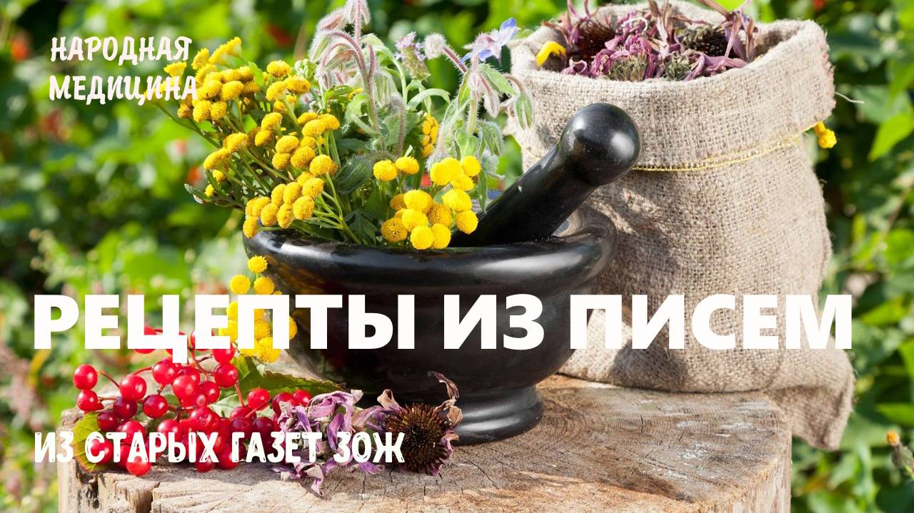 РЕЦЕПТЫ ИЗ ПИСЕМ ЗОЖ смотреть онлайн