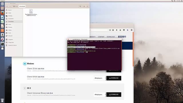 Ubuntu Install TeamSpeak 3 Client смотреть онлайн
