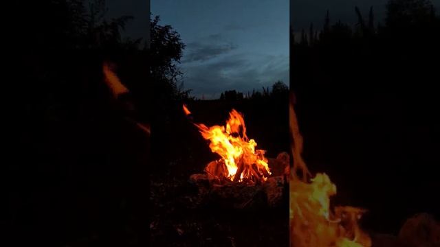 Медитация пчеловода смотреть онлайн