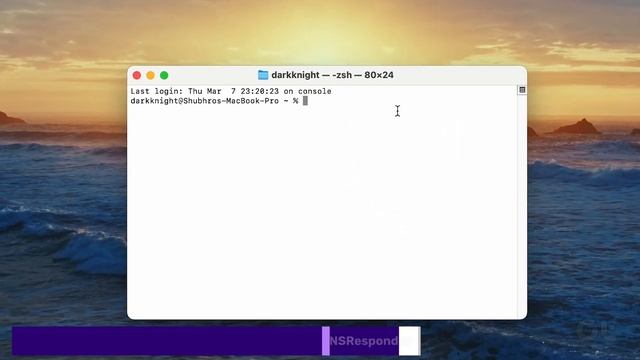 How to Clear the DNS Cache in macOS | Flush the DNS Cache | 2024 смотреть онлайн