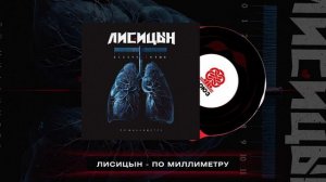 Лисицын - По миллиметру (2024)
