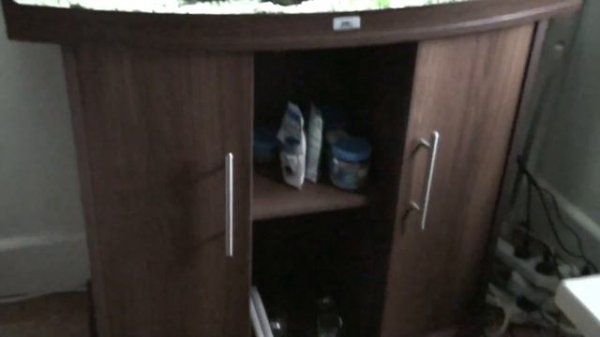 Juwel Vision 180 Aquarium with Jack Dempsey