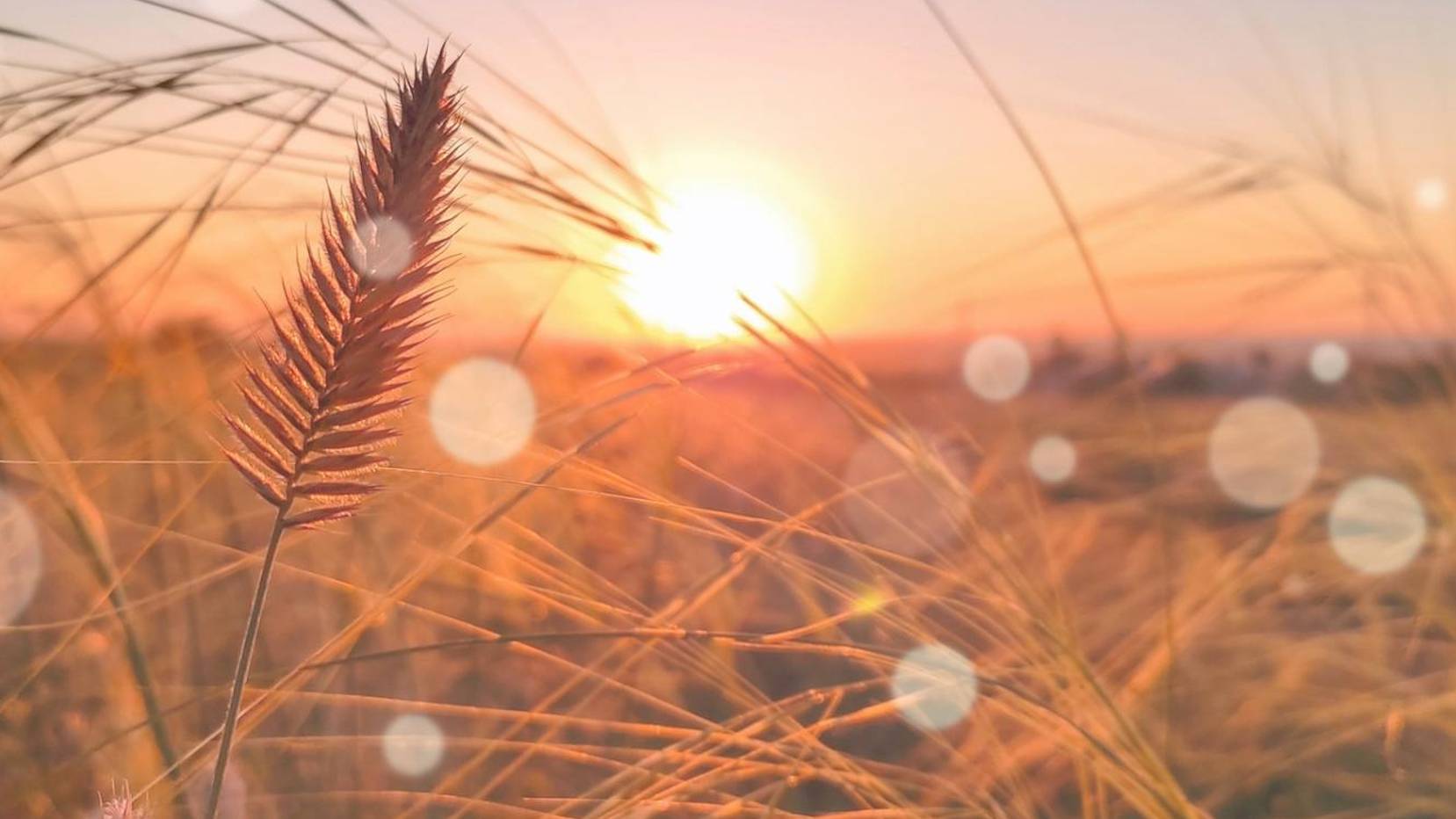 МУЗЫКА ДЛЯ РЕЛАКСА РАССЛАБЛЯЮЩАЯ 2024 ПОДБОРКА#7 смотреть онлайн