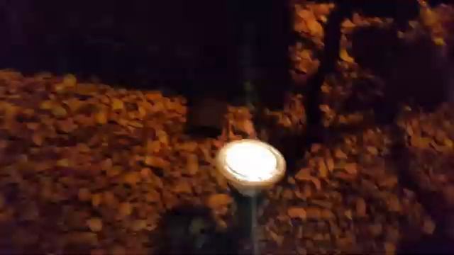 2015 Halloween Holiday Show - Windows IoT / Raspberry Pi 2 / Fire and lights смотреть онлайн