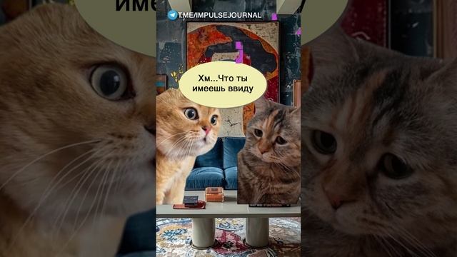 Настала осень #мыкотики #вмем #разговор #анекдот #шутки #кот #юмор #смешное #прикольно #мемы #cat смотреть онлайн