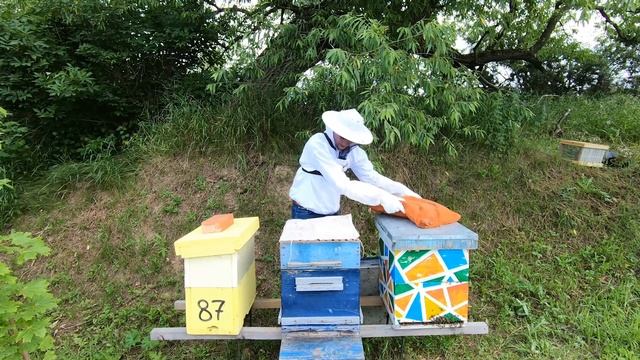 Перестановка корпусов. Пчеловод выходного дня смотреть онлайн