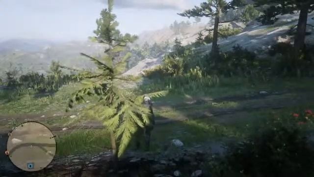 Foolin' in RDO смотреть онлайн
