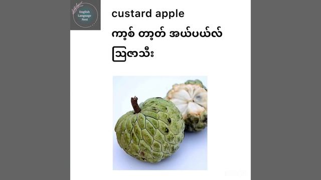 Fruits Vocabularies#Learning English#English Language Nest# смотреть онлайн