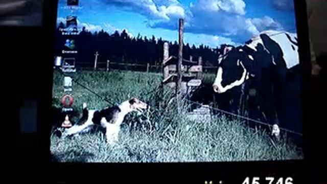 Comparación de inicios Windows/Mac/Linux смотреть онлайн